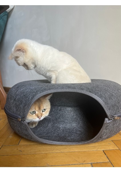 Casugo 2li Kedi Yatağı 50X50X20 Cm, Çörek Şeklinde, Kolay Temizlik Için Ayrılabilir Tasarım