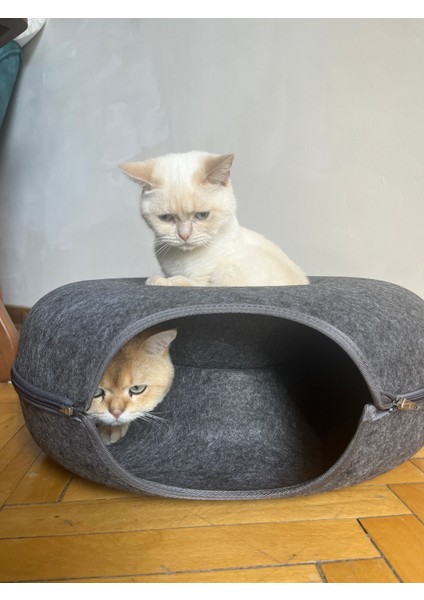 Casugo 2li Kedi Yatağı 50X50X20 Cm, Çörek Şeklinde, Kolay Temizlik Için Ayrılabilir Tasarım
