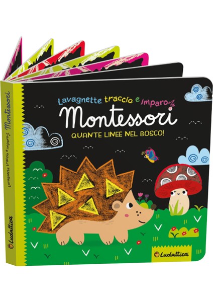 Montessori Uygulamalı Matematik Etkinlikleri