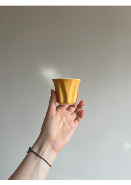 Flora Limoges Porselen Espresso/türk Kahvesi Fincanı modelleri