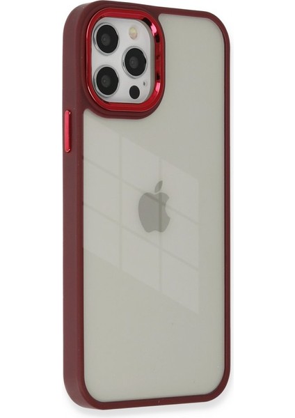 Apple iPhone 12 Pro Max Kılıf Kenarı Silikon Arkası Darbelere Karşı Sert Pc Dora Kapak