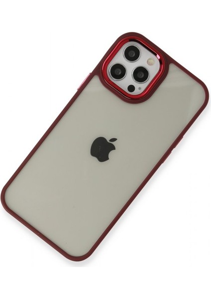 Apple iPhone 12 Pro Max Kılıf Kenarı Silikon Arkası Darbelere Karşı Sert Pc Dora Kapak