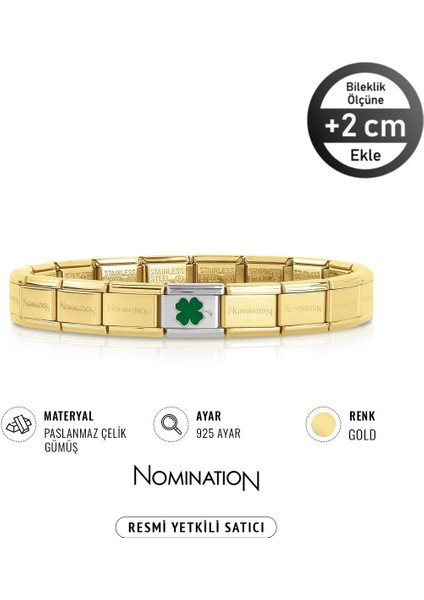 Italy Composable 925 Ayar Gümüş Yonca ve Çelik Bileklik Gold