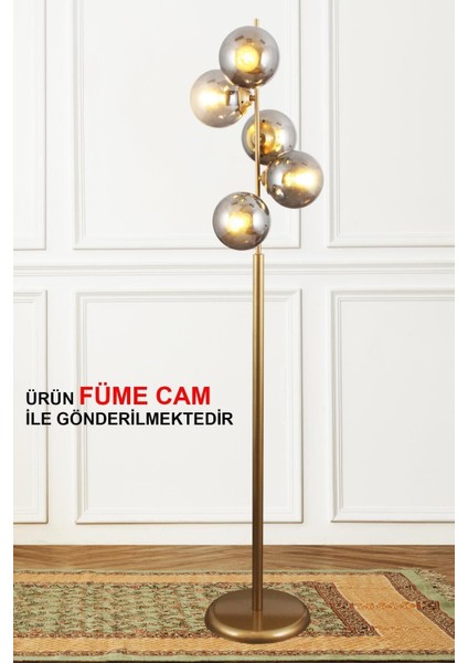 Modena 5 Li Eskitme Lambader-Füme Camlı