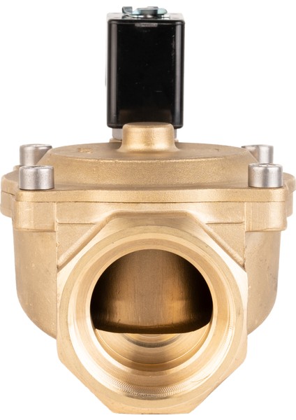 220V Ac Genel Maksat Normalde Açık Solenoid Valf 2" (0,5-16 Bar)