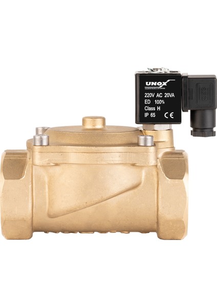 220V Ac Genel Maksat Normalde Açık Solenoid Valf 2" (0,5-16 Bar)