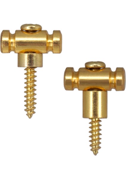 2pcs String Kılavuzları Vidalı Kılavuzlar Elektro Gitar Altın Için Gitar Dize Tutucu (Yurt Dışından)