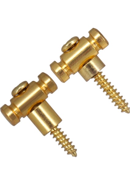 2pcs String Kılavuzları Vidalı Kılavuzlar Elektro Gitar Altın Için Gitar Dize Tutucu (Yurt Dışından) fiyatları