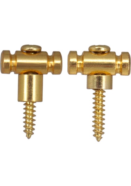 2pcs String Kılavuzları Vidalı Kılavuzlar Elektro Gitar Altın Için Gitar Dize Tutucu (Yurt Dışından) modelleri