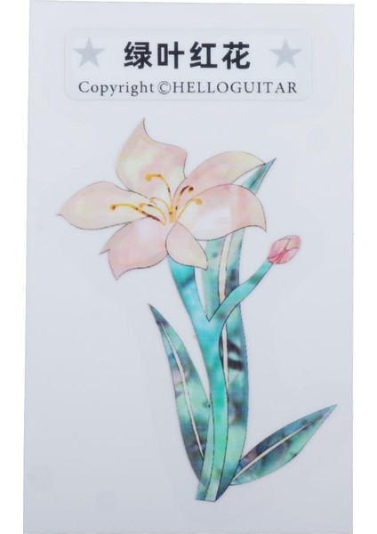 Kakma Çıkartmaları, I Için Çıkartmalar (Yurt Dışından) modelleri