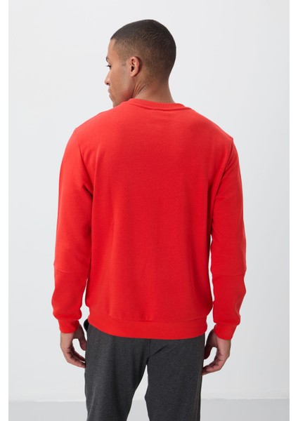 Fiesta Kompakt Pamuklu Kalın Pürüzsüz Dokulu O Yaka Standart Fit Erkek Sweatshirt -88405