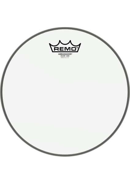 SA-0110-00- Ambassador® Hazy 10 Trampet Alt Derisi