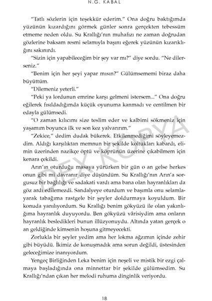 Hepimiz Gökyüzü Olmak Istedik 4: Efsaneler ve Lanetler (Ciltli) - N. G. Kabal