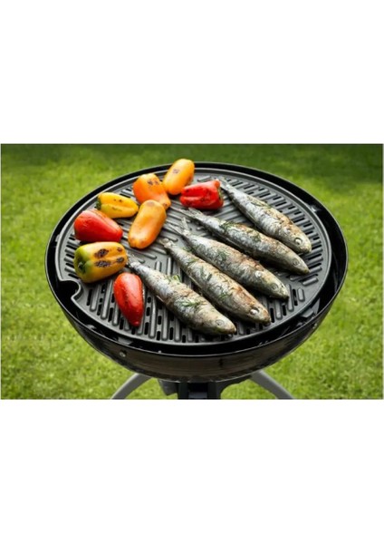 Cadac Barbekü Izgarası - 40