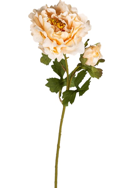 Yapay Şakayık Tomurcuklu Krem 60 Cm.