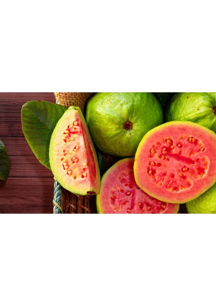 2 Yaş Guava Fidanı