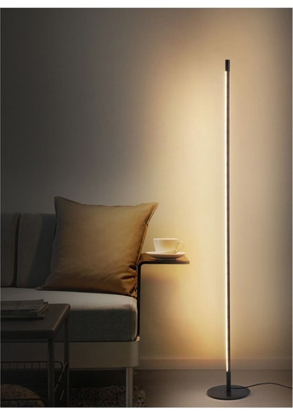 Düz / 150 cm / Lambader / Antrasit Gövde / 3 Renk Işık / 3 Yıl Garanti