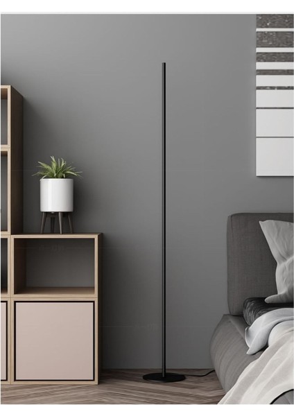 Düz / 150 cm / Lambader / Antrasit Gövde / 3 Renk Işık / 3 Yıl Garanti