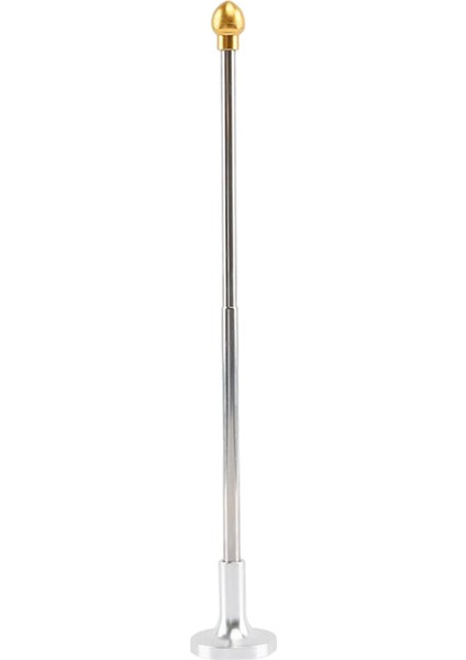 Golf Kulübü Hizalama Sopa Çip Uygulama Hediye Golf Eğ I Altın (Yurt Dışından)