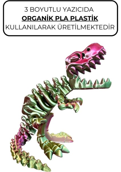 Mooiebaby's Sevimli Iskelet Trex - Hareketli Organik Oyuncak - 3D Baskı - Dinazor modelleri