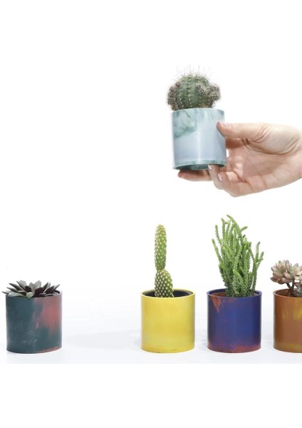 Geri Dönüşüm Saksılı Hediyelik Sukulent fiyatları