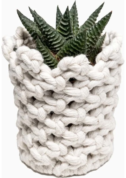 Makrome Saksılı Sukulent modelleri