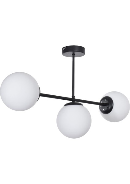 Roma Modern Tasarım Salon Yemek Odası Mutfak Siyah Renk Beyaz Camlı Sıralı 3 Lü Avize