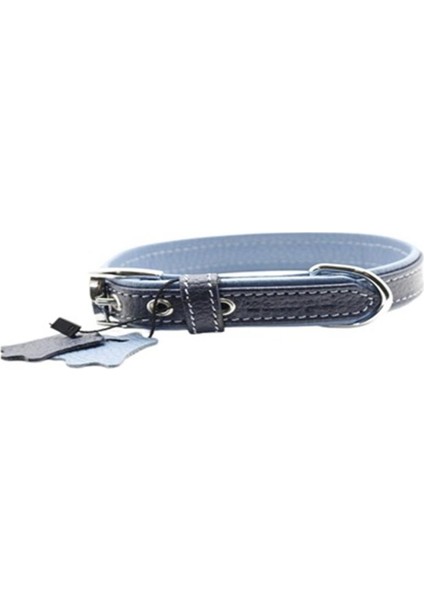 Yumuşak Dokulu Gerçek Deri Flatiron Köpek Boyun Tasması Lacivert Turkuaz 2 x 42 cm