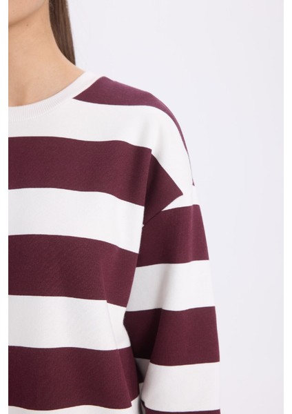 Relax Fit Bisiklet Yaka Çizgili Kalın Sweatshirt A1883AX24AU