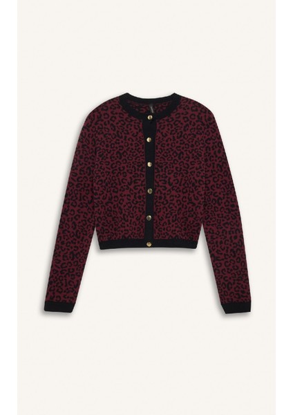 Regular Fit Bisiklet Yaka Leopar Desenli Düğmeli Triko Hırka D8510AX24WN