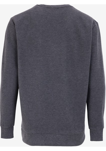 Antrasit Melanj Erkek Bisiklet Yaka Relaxed Sweatshirt D4WM-SWT3931