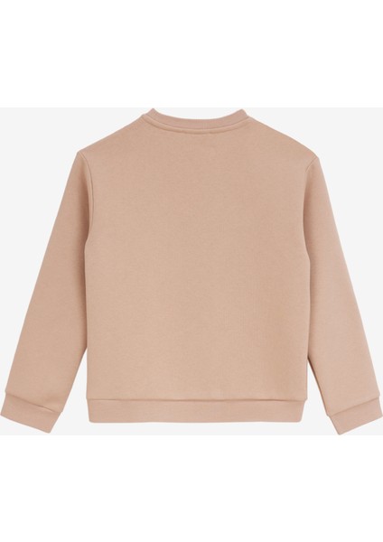 Nakışlı Erkek Bej Sweatshırt D4wb-Swt3101 fiyatları