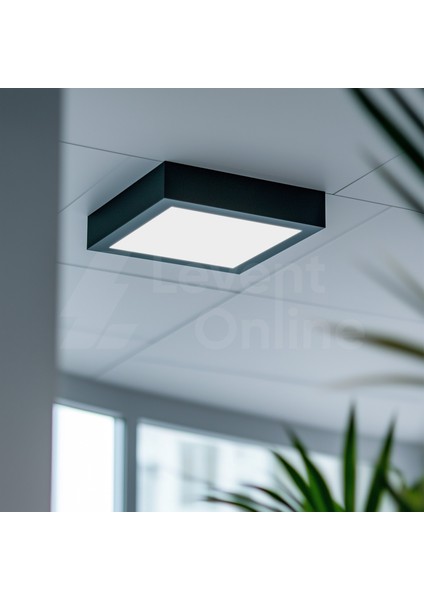 MX-1066N - 12W 4000K Ilık Beyaz | Siyah Kasa Sıva Üstü Kare LED Panel