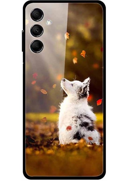 Samsung Galaxy M14 5g Temperli Cam+Tpu Kapak (Yurt Dışından)