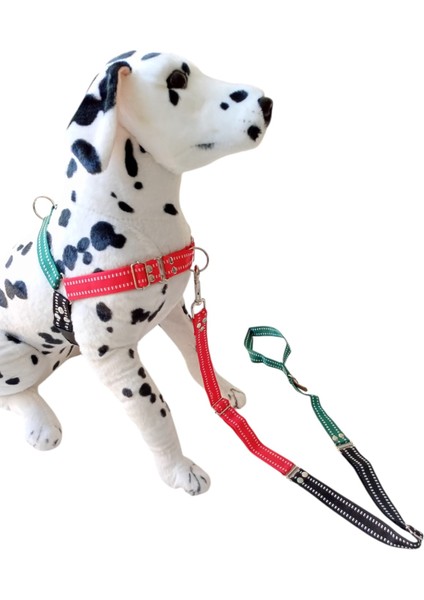 Köpek göğüs tasması gezdirme kayışlı set önden ve sırttan çekmeli göğüs ölçüsü:50-90 cm ayarlamalı gezdirme kayışı:80-120cm dog harness TB4-6
