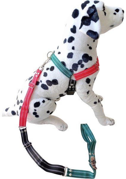 Köpek göğüs tasması gezdirme kayışlı set önden ve sırttan çekmeli göğüs ölçüsü:50-90 cm ayarlamalı gezdirme kayışı:80-120cm dog harness TB4-6