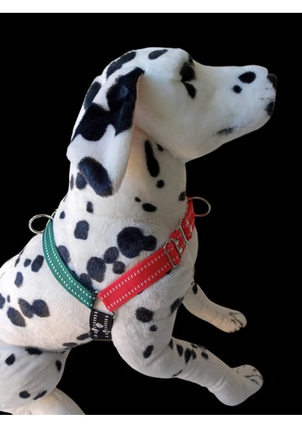 Köpek göğüs tasması gezdirme kayışlı set önden ve sırttan çekmeli göğüs ölçüsü:50-90 cm ayarlamalı gezdirme kayışı:80-120cm dog harness TB4-6
