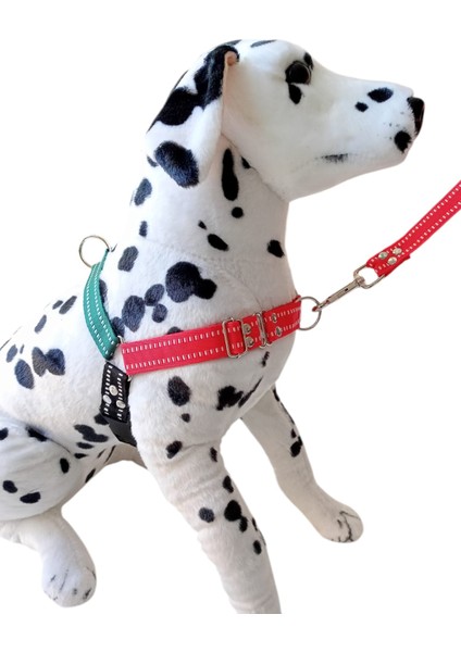 Köpek göğüs tasması gezdirme kayışlı set önden ve sırttan çekmeli göğüs ölçüsü:50-90 cm ayarlamalı gezdirme kayışı:80-120cm dog harness TB4-6