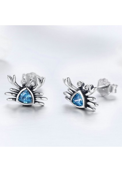 Küçük Yengeç S925 Ayar Gümüş Küpe (Yurt Dışından) fiyatları