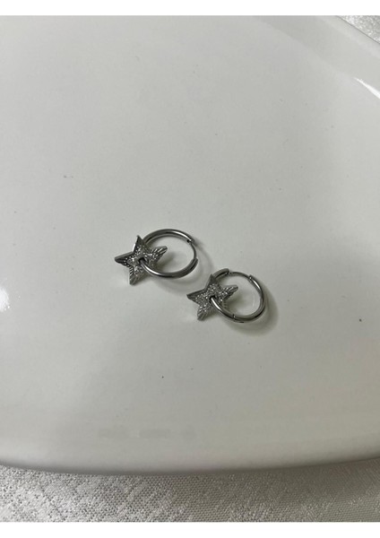Paslanmaz Kararmaz Gümüş Renk Taşlı Yıldız Çelik Küpe modelleri