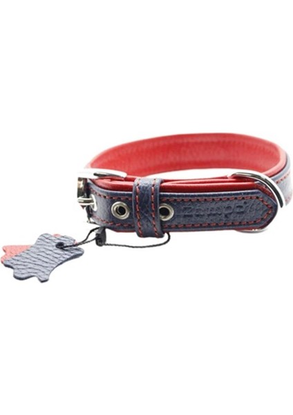 Yumuşak Dokulu Gerçek Deri Flatiron Köpek Boyun Tasması Lacivert Kırmızı 2,5X47 cm