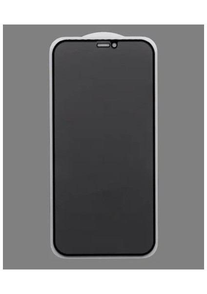 Apple iPhone 12 Hayalet Ekran Koruyucu Cam Privacy Glass