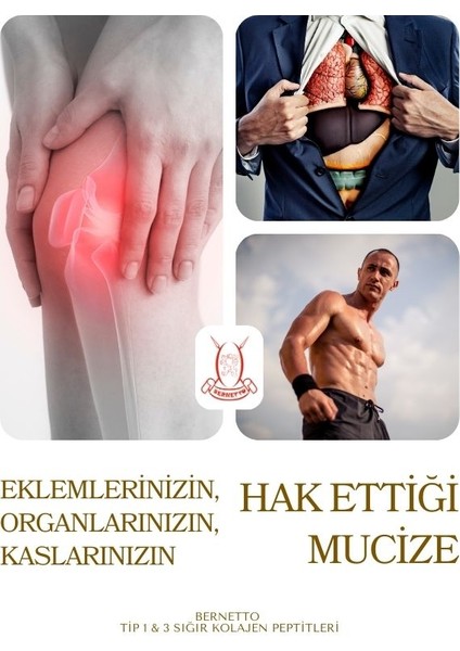Collagen 500gr modelleri