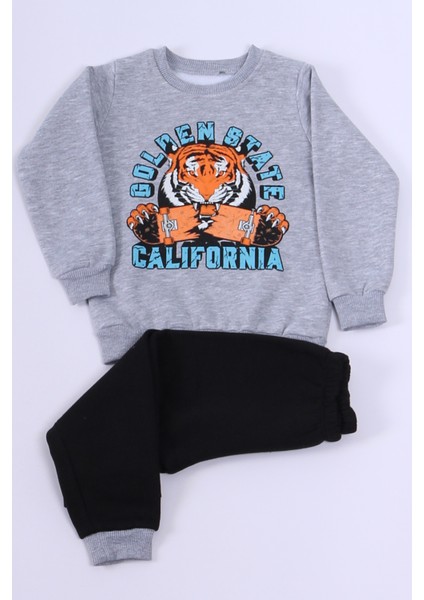 Erkek Çocuk 3 Iplik Eşofman Takımı Karakter Baskılı E7 fiyatları