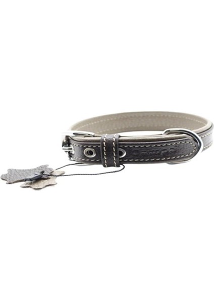 Yumuşak Dokulu Gerçek Deri Flatiron Köpek Boyun Tasması Kahverengi Toprak 2X35 cm