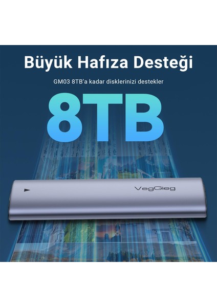 10GBPS USB 3.1 Gen2 M.2 Sata Ngff Nvme SSD Disk Kutusu