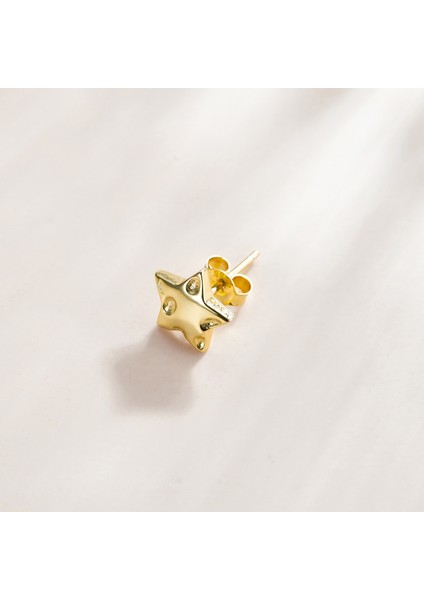 Yıldız Kadın Küpe (Yurt Dışından) fiyatları