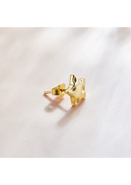 Yıldız Kadın Küpe (Yurt Dışından) modelleri