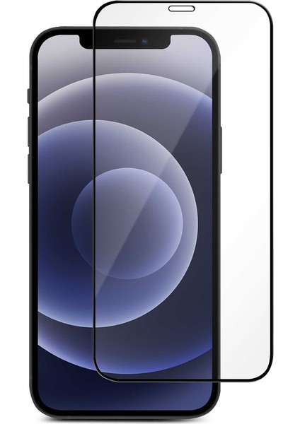 Apple iPhone 12 Pro Ekran Koruyucu Tam Kaplama Anti Static