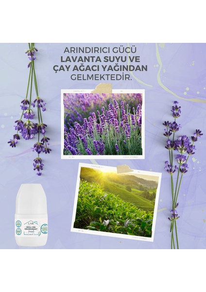 Alüminyumsuz Alkolsüz Parabensiz Vegan Unisex Ferah Kokulu Roll-on Deodorant 1 adet 50ml modelleri